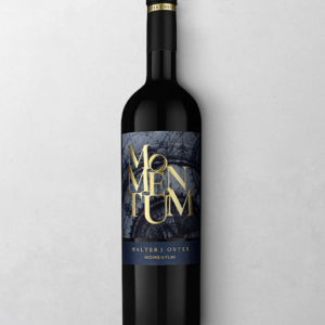 Momentum - Walter J. Oster (2021)