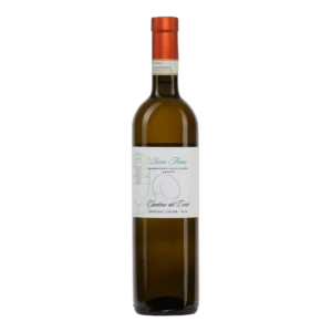 Langhe Bianco - Cantina Del Conte (2025)