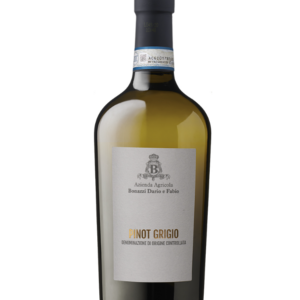 Pinot Grigio Delle Venezie DOC - Bonazzi (2024)